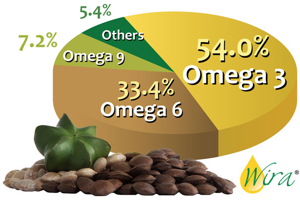 831_omega 3