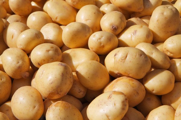 Yukon Gold Potatoes