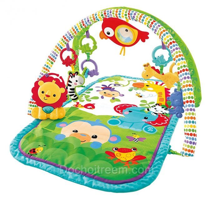 Tham-choi-rung-nhiet-doi-CHP85-2