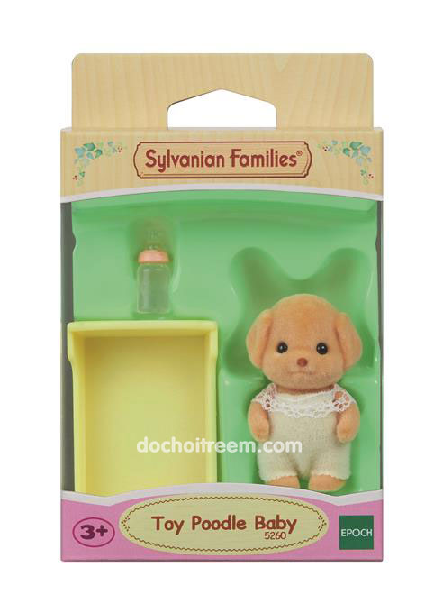 em bé chó poodle 