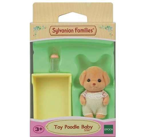 em bé chó poodle